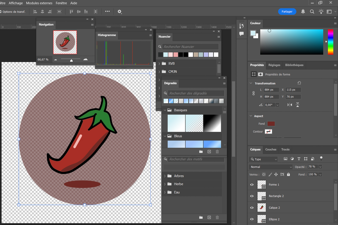 écran montrant du code
